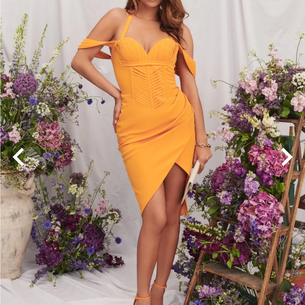 Lavish Alice Dress
